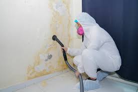 Trusted Sugar Grove, IL Mold Removal Services Experts